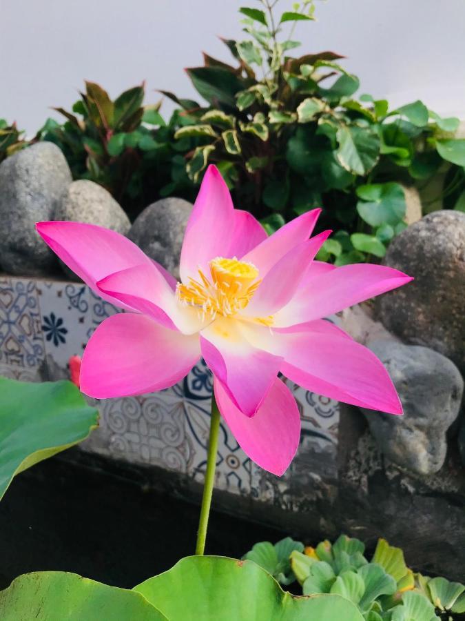 Lagi 1001 Nights Hotel 외부 사진